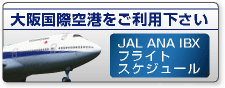 JAL ANAフライトスケジュール